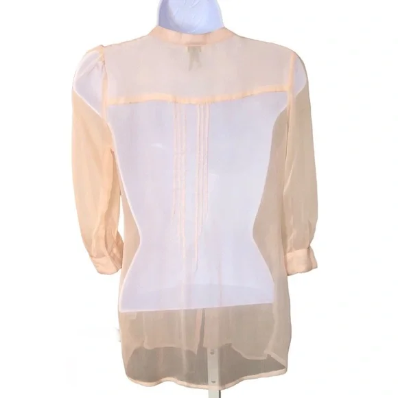 Blush Gauzy Chiffon Sheer Tunic Blouse with Buttons and Pleats​​​​ - Picture 4 of 16